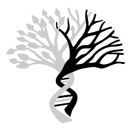 GenesiBIblica, Alessandro Pacifico